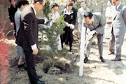 개교 50주년 기념, 이성조 교육감 기념 식수 (1976.4.15) 이미지